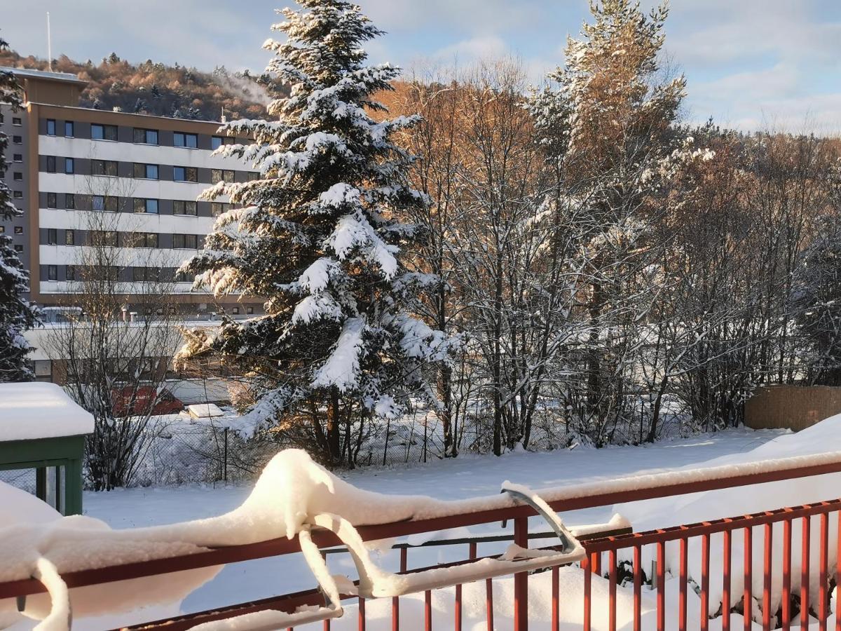 Penzion Zornicka Bardejovské Kúpele Extérieur photo