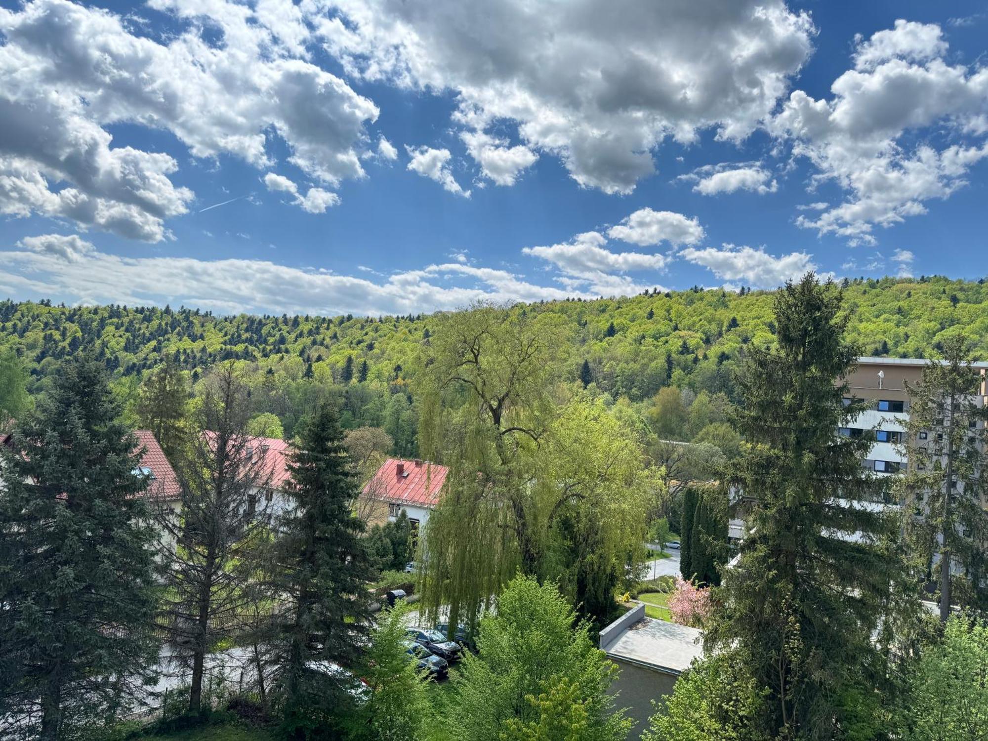 Penzion Zornicka Bardejovské Kúpele Extérieur photo